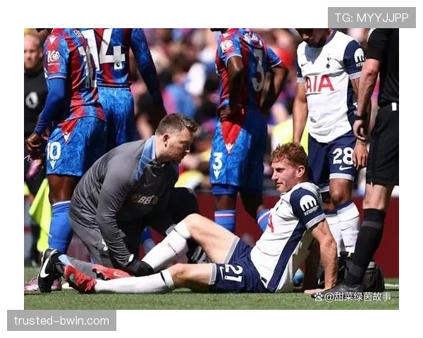 热刺中场麦迪逊库卢塞夫斯基伤停 进攻组织核心双双缺席